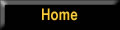 Navigation bar element linking to home page